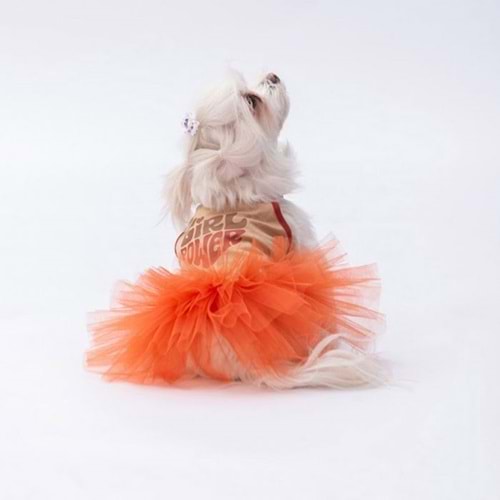 24312-PAWSTAR BEJ GİRL POWER ELBİSE 5Lİ SET(S-M-L-L-XL)