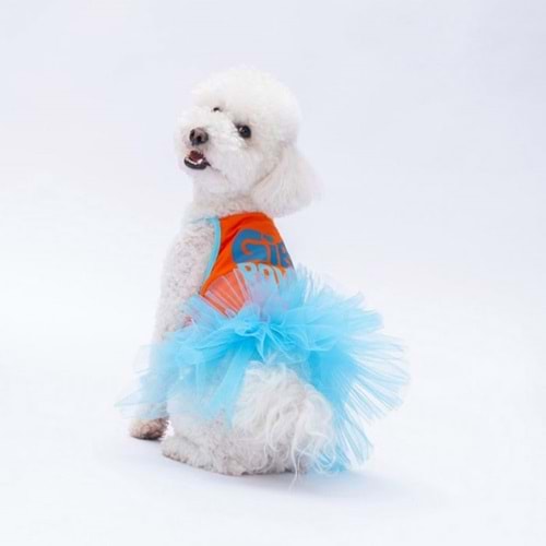 24313-PAWSTAR TURUNCU GİRL POWER ELBİSE 5Lİ SET(S-M-L-L-XL)