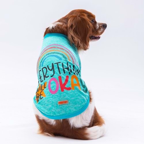 24712-PAWSTAR MINT EVERYTHING SWEAT 5Lİ SET(M-L-XL-XL-2XL)