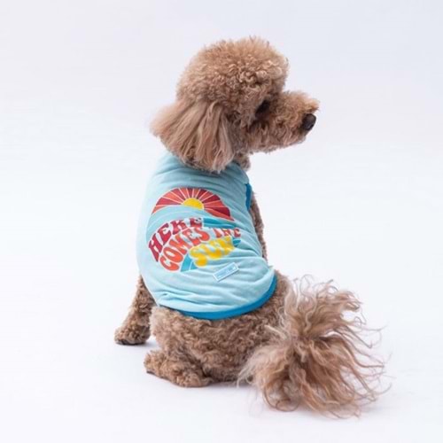 24832-PAWSTAR MAVİ THE SUN TİŞÖRT 6LI SET(S-M-L-L-XL-2XL)