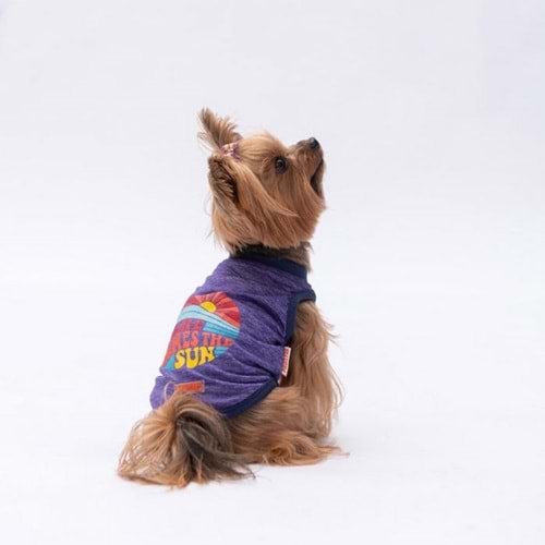24833-PAWSTAR MOR THE SUN TİŞÖRT 6LI SET(S-M-L-L-XL-2XL)