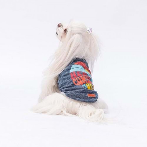 24834-PAWSTAR LACİVERT THE SUN TİŞÖRT 6LI SET(S-M-L-L-XL-2XL)