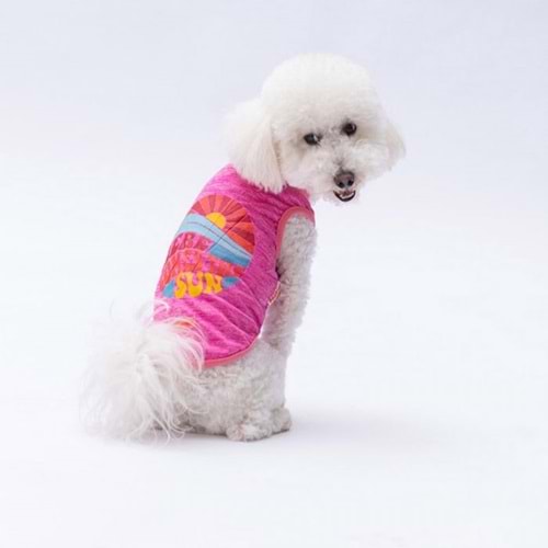 24836-PAWSTAR FUŞYA THE SUN TİŞÖRT 6LI SET(S-M-L-L-XL-2XL)