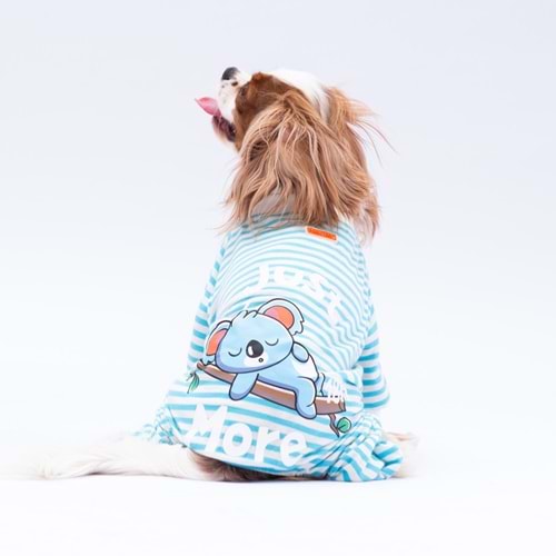 24905-PAWSTAR MAVİ JUST MORE PİJAMA TULUM 5Lİ SET(M-L-L-XL-2XL)