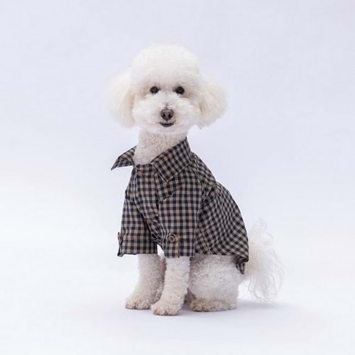 25401-PAWSTAR BEJ LUSS GÖMLEK 5Lİ SET(M-L-L-XL-2XL)