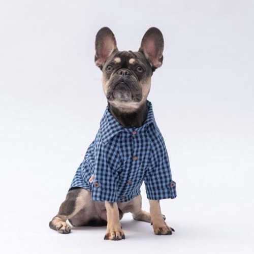 25402-PAWSTAR MAVİ LUSS GÖMLEK 5Lİ SET(M-L-L-XL-2XL)