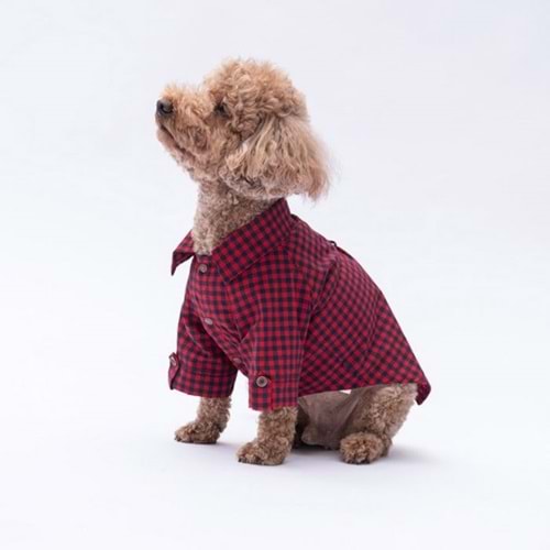 25403-PAWSTAR KIRMIZI LUSS GÖMLEK 5Lİ SET(M-L-L-XL-2XL)