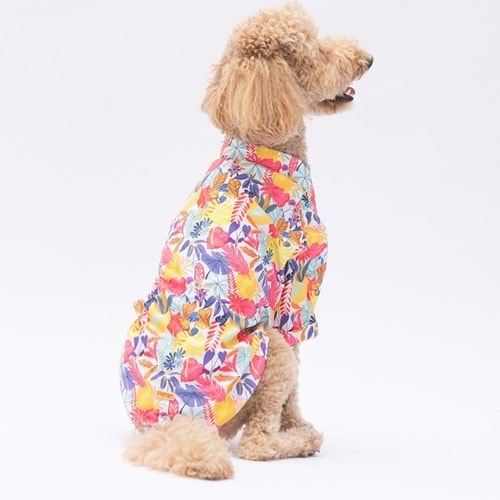 25404-PAWSTAR MİAMİ DESENLİ GÖMLEK 5Lİ SET (M-L-L-XL-2XL)