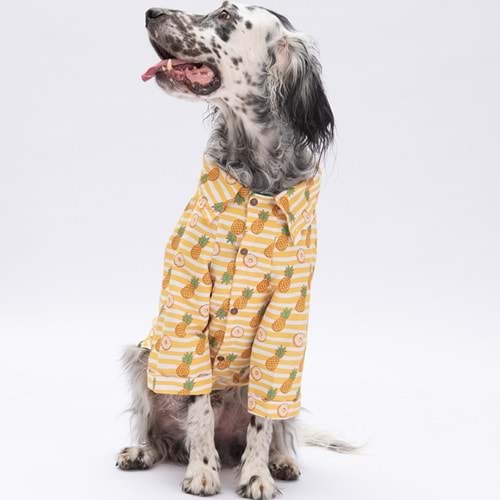 25405-PAWSTAR PANAMA CİTY DESENLİ GÖMLEK 5Lİ SET (M-L-L-XL-2XL)