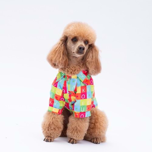 25407-PAWSTAR SARASOTA DESENLİ GÖMLEK 5Lİ SET (M-L-L-XL-2XL)