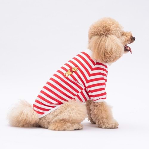 25704-PAWSTAR KIRMIZI WİNNİE SWEAT 5Lİ SET (M-L-L-XL-2XL)