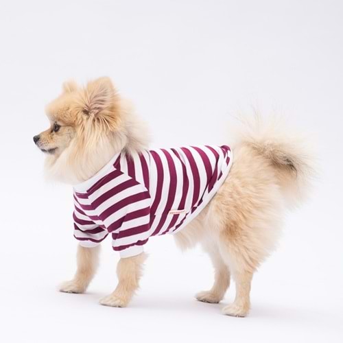 25705-PAWSTAR MOR PİGLET SWEAT 5Lİ SET (M-L-L-XL-2XL)