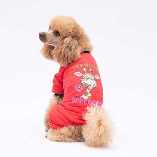 25906-PAWSTAR DEPRESSO PİJAMA TULUM 5Lİ SET (M-L-L-XL-2XL)