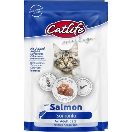 CLFW-26 CATLİFE SOMONLU POUCH 85GR 24LÜ