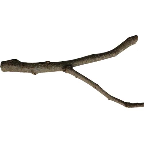 ST101 BEAKS DOĞAL TÜNEK-2