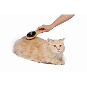 10118999 M-PETS BAMBOO ÇİFT TARAFLI FIRÇA