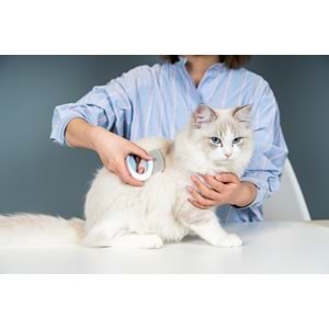 10121299 M-PETS MINI PET COMB BLUE