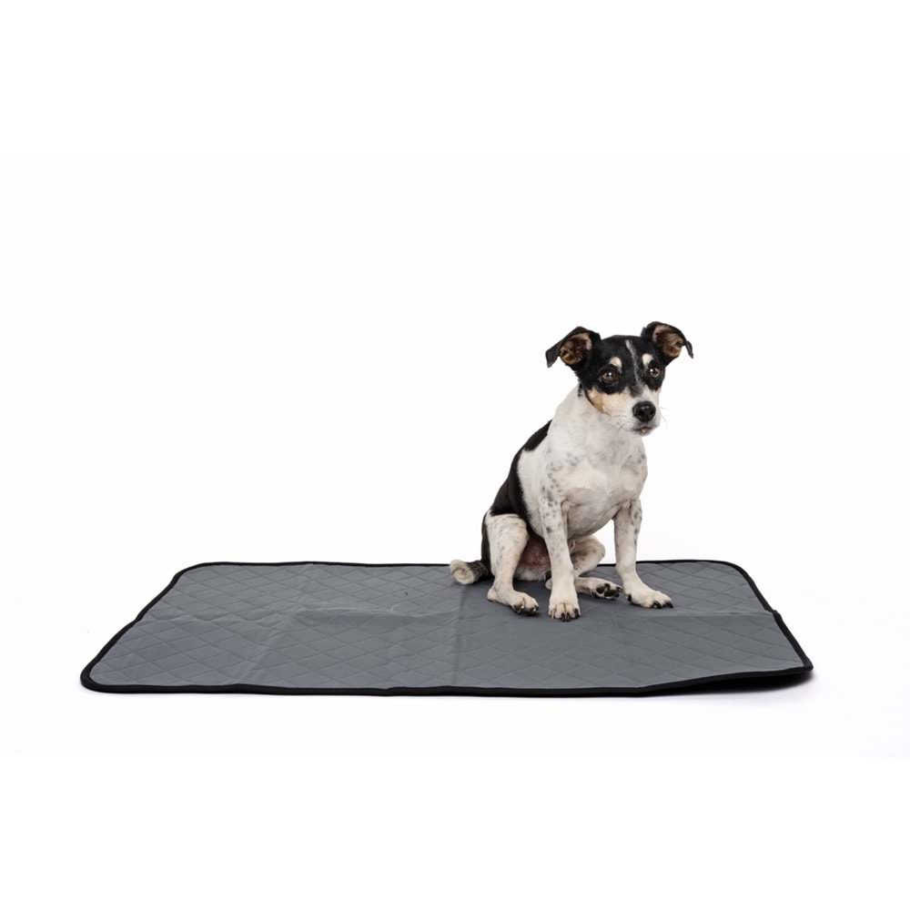 10125299 M-PETS YIKANABİLİR ÇİŞ EĞİTİM PEDİ (M)