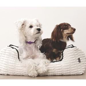 10178799 M-PETS KEEP CALM CALMİNG SAKİNLEŞTİCİ KÖPEK TASMASI 4LÜ MİX COLOR