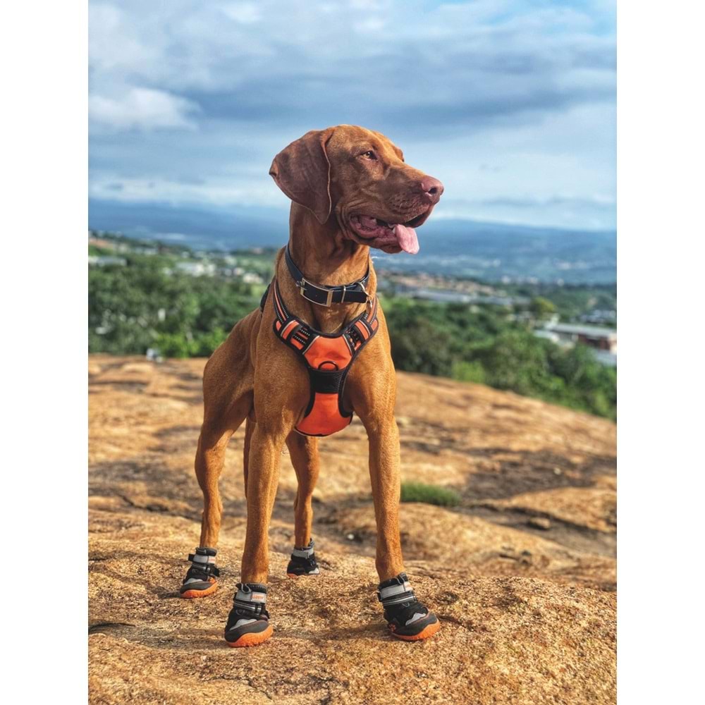 10361013 M-PETS HIKING KÖPEKLER İÇİN AYAKKABI #8 XL