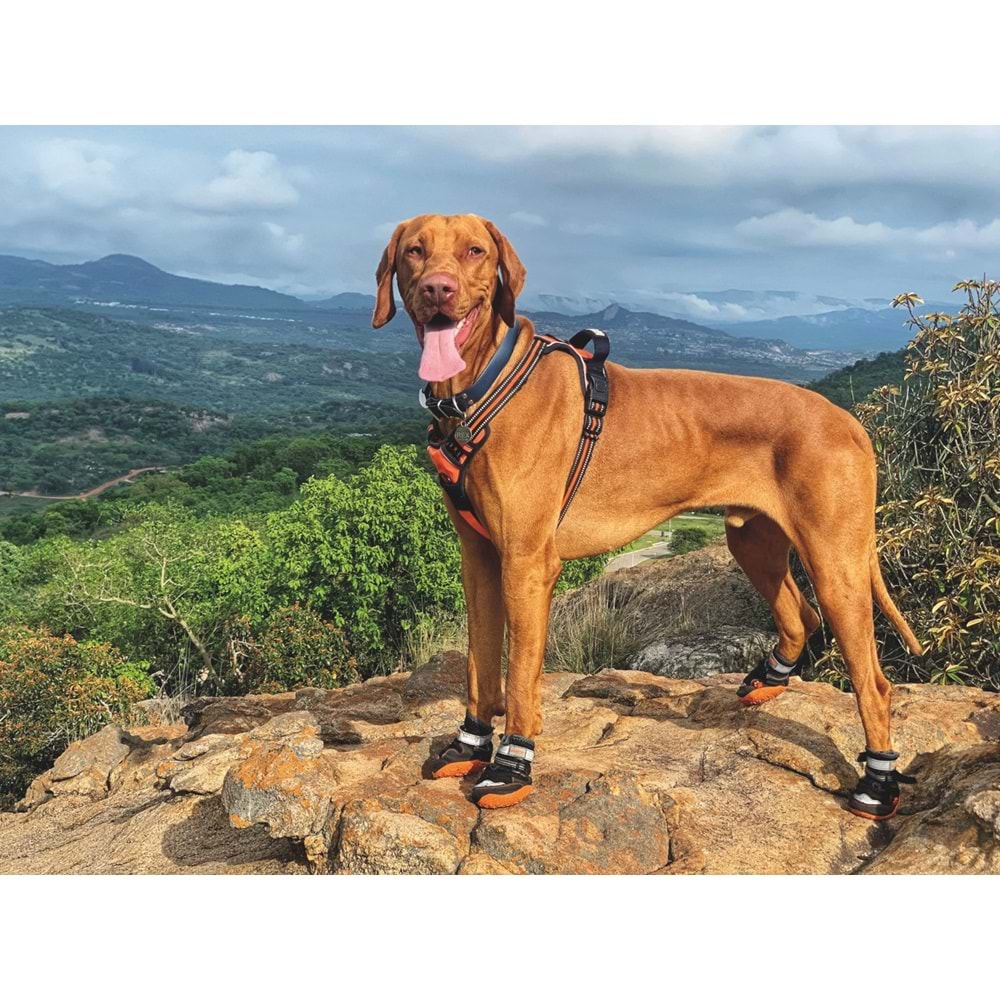 10361013 M-PETS HIKING KÖPEKLER İÇİN AYAKKABI #8 XL