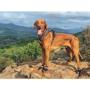 10361013 M-PETS HIKING KÖPEKLER İÇİN AYAKKABI #8 XL