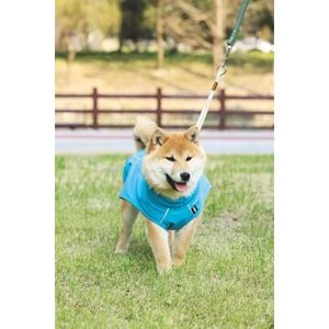 10362317 M-PETS DOG RAIN COAT YAĞMURLUK (S)
