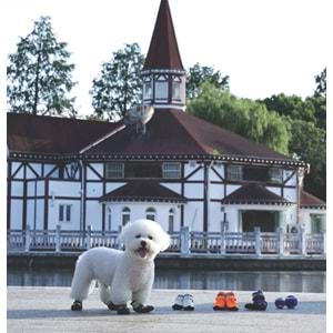 10370599 M-PETS FLEXI KÖPEKLER İÇİN AYAKKABI #4 M GREEN EDİTİON