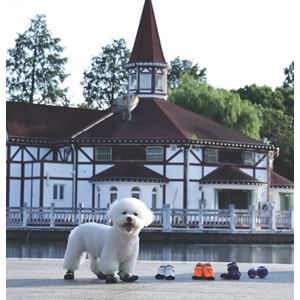 10371199 M-PETS FLEXI KÖPEKLER İÇİN AYAKKABI #2 XS PURPLE EDİTİON