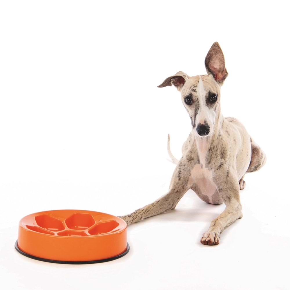 10503917 M-PETS CAVITY YAVAŞ YEME MAMA KABI 1200ML ORANGE