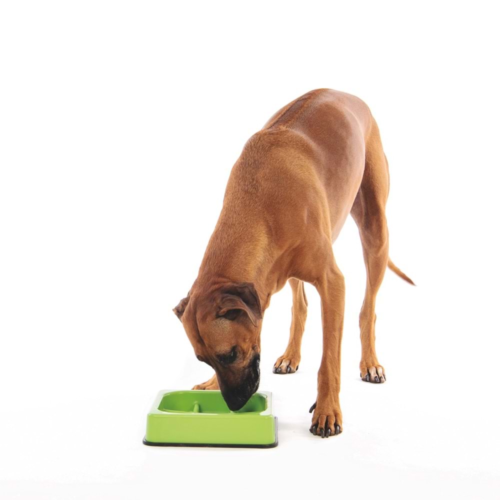 10504108 M-PETS WAFFLE YAVAŞ YEME MAMA KABI 1500ML GREEN