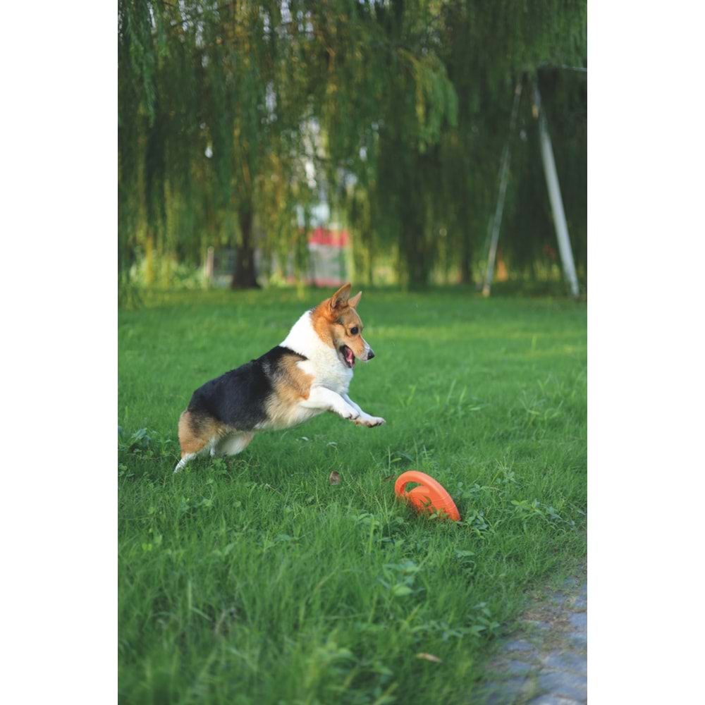 10615099 M-PETS SPLASH FRISBEES FLOATING OYUNCAK