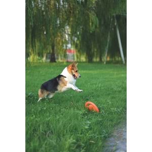 10615099 M-PETS SPLASH FRISBEES FLOATING OYUNCAK