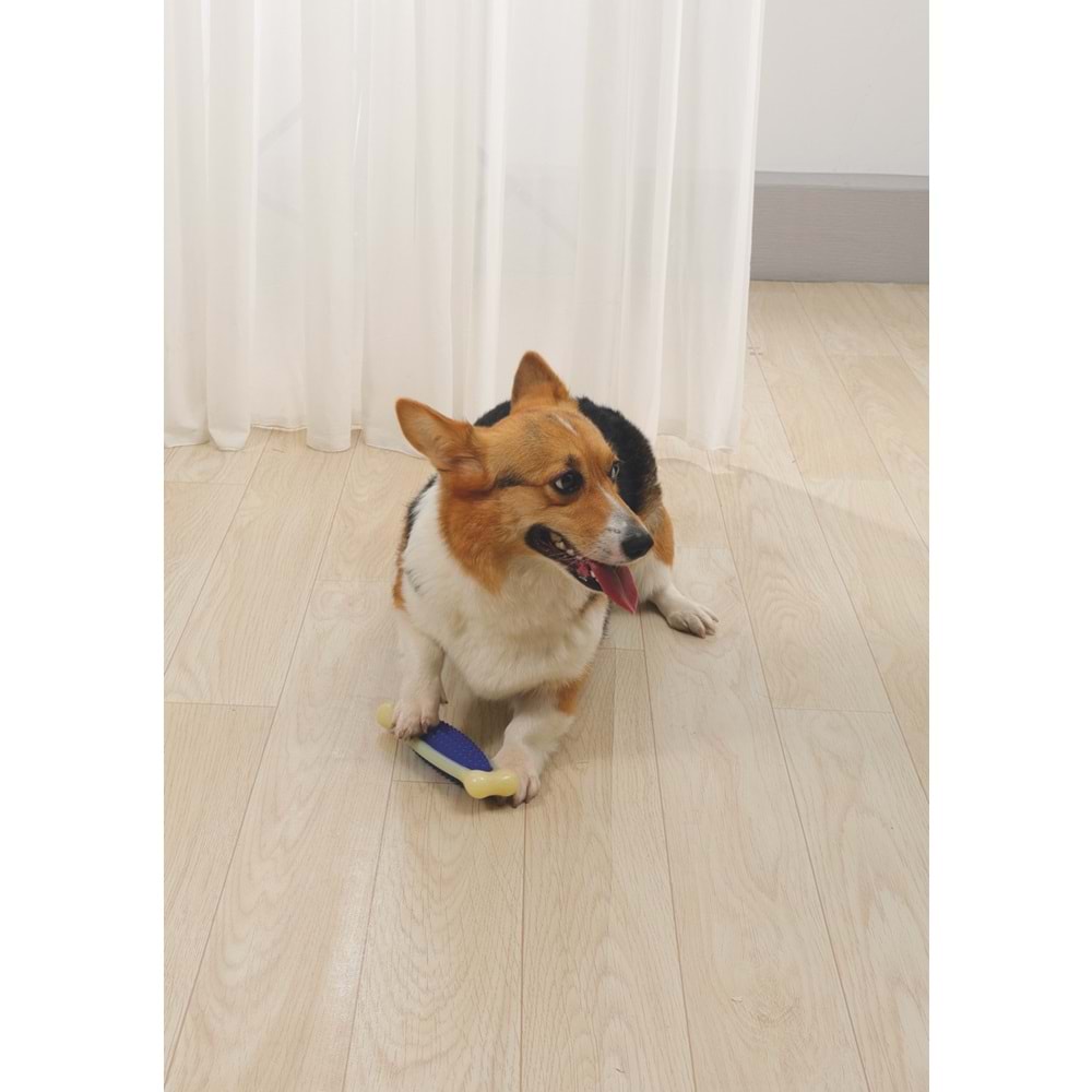 10632417 M-PETS CHEWBO BONE DENTAL KÖPEK OYUNCAĞI (M)