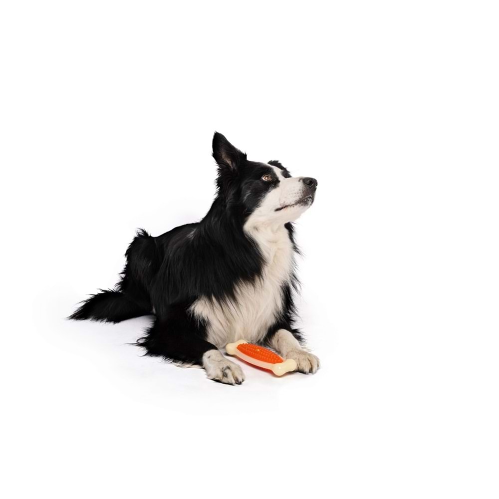 10632810 M-PETS CHEWBO BONE DENTAL ET AROMALI KÖPEK OYUNCAĞI (L)