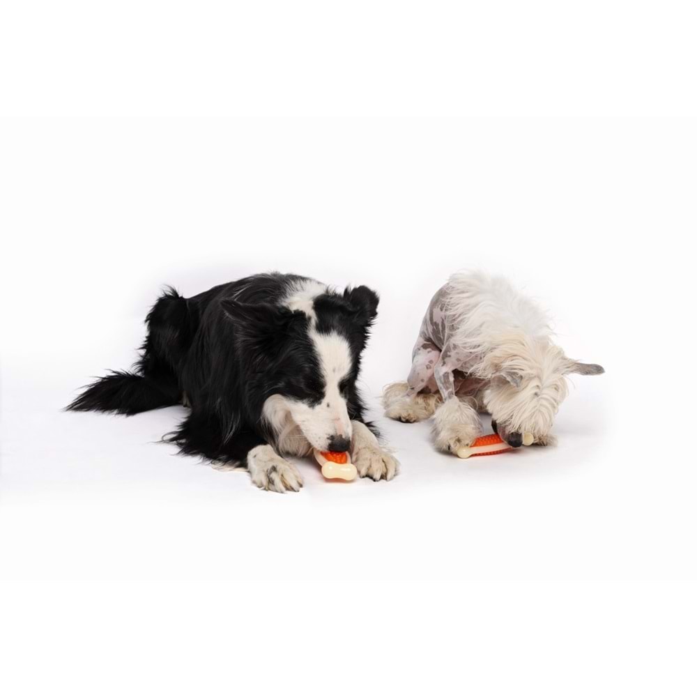 10632810 M-PETS CHEWBO BONE DENTAL ET AROMALI KÖPEK OYUNCAĞI (L)