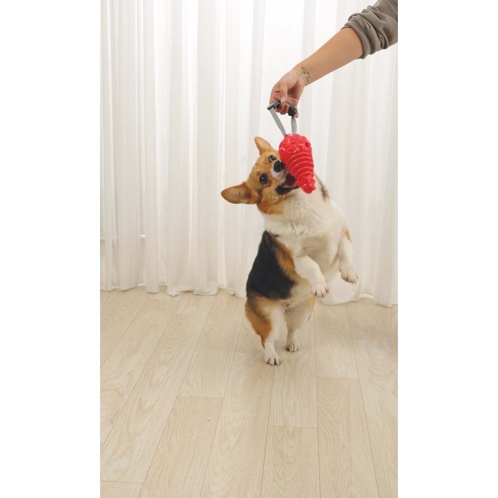 10638405 M-PETS DROGO ÖDÜL HAZNELİ KAUÇUK OYUNCAK ORANGE