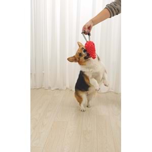 10638405 M-PETS DROGO ÖDÜL HAZNELİ KAUÇUK OYUNCAK ORANGE