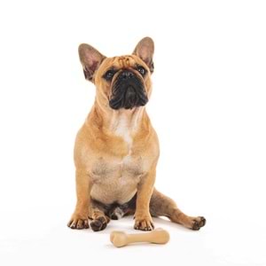 10639899 M-PETS GREENBO NATURAL KÖPEKLER İÇİN OYUNCAK (S)
