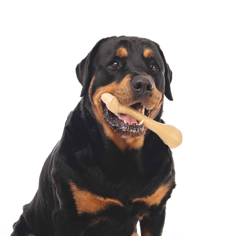 10640099 M-PETS GREENBO NATURAL KÖPEKLER İÇİN OYUNCAK (L)