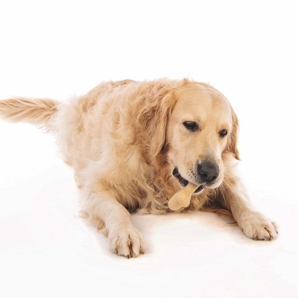 10640099 M-PETS GREENBO NATURAL KÖPEKLER İÇİN OYUNCAK (L)