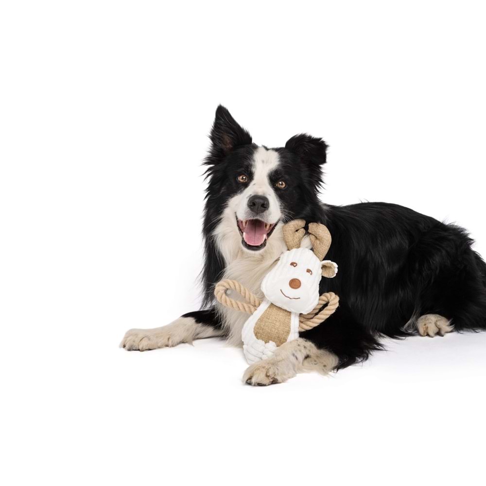 10640399 M-PETS ECO RUNE KÖPEKLER İÇİN SEVİMLİ OYUNCAK