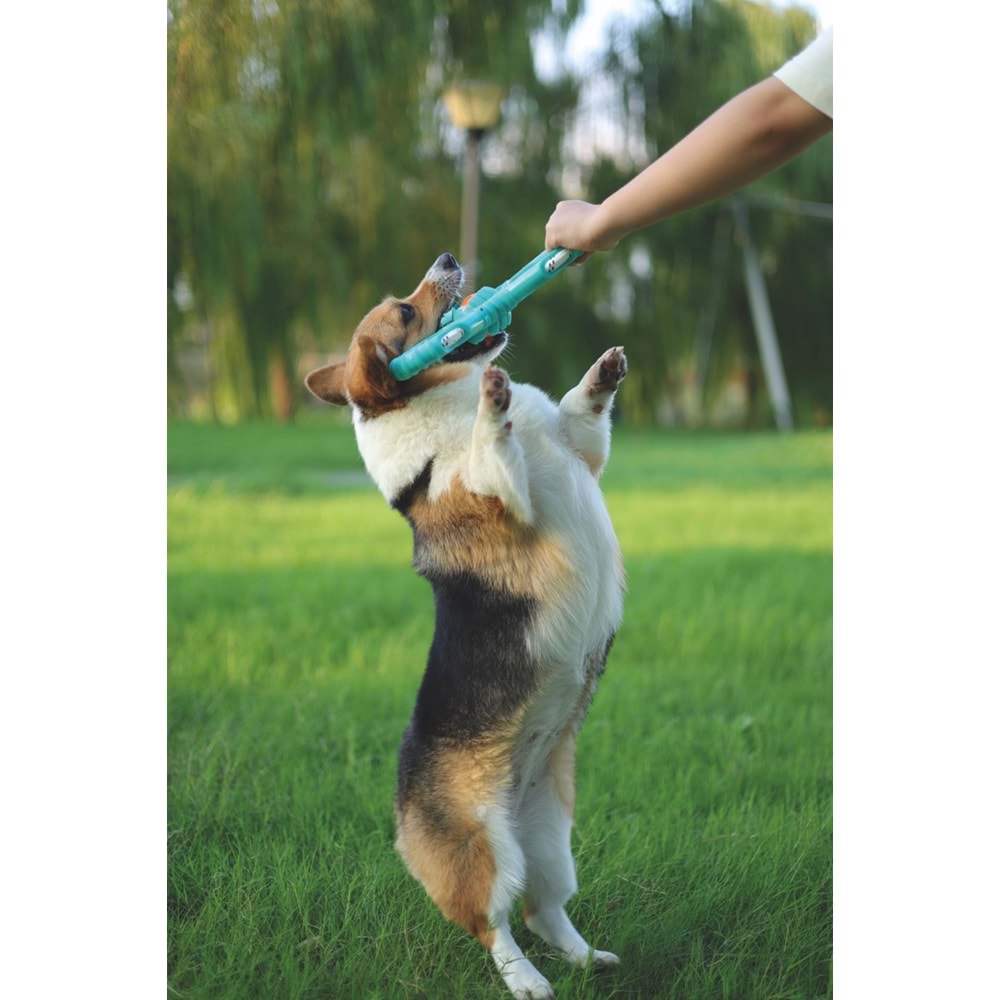10641899 M-PETS FLYER REACTOR KÖPEK OYUNCAĞI