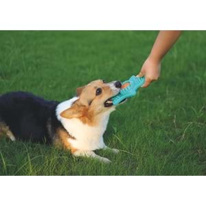 10642099 M-PETS FLYER TURTLE KÖPEK OYUNCAĞI