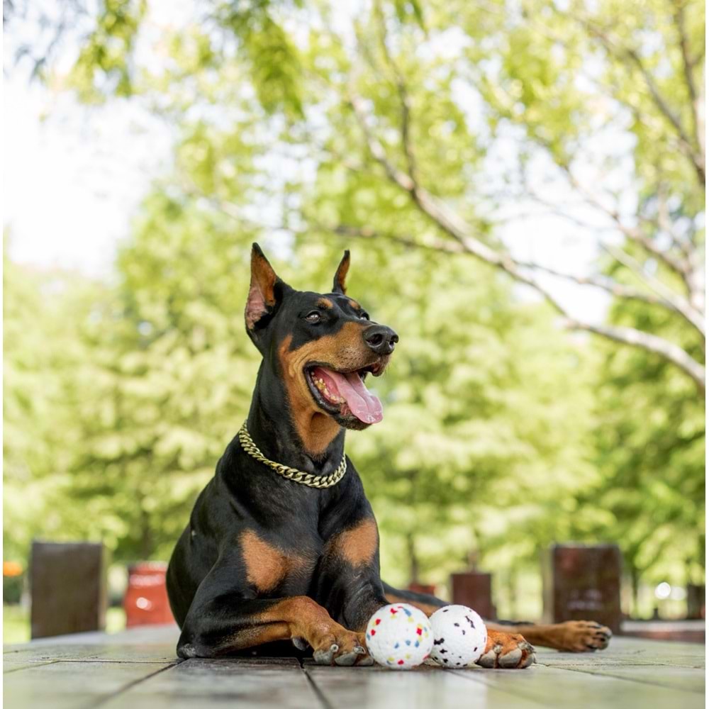 10643399 M-PETS BLOOM BALL OYUN TOPU PARÇALANMAZ MİX COLOR