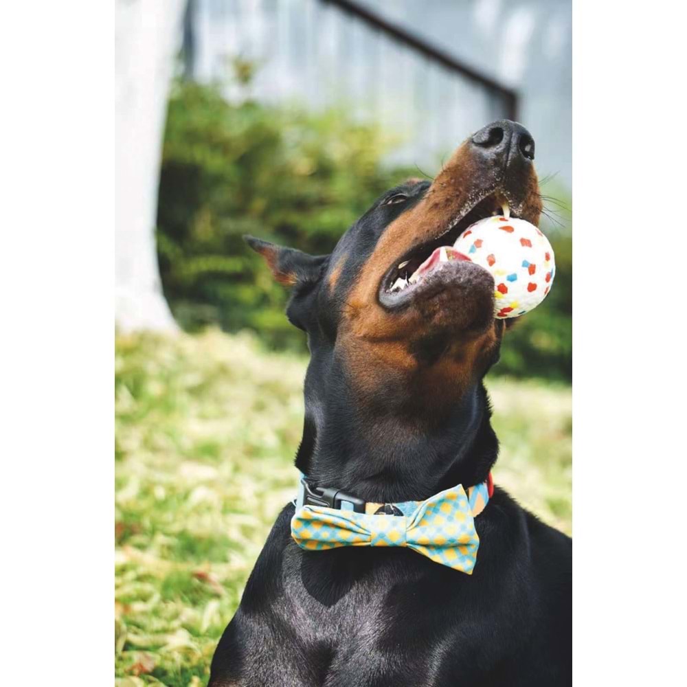 10643399 M-PETS BLOOM BALL OYUN TOPU PARÇALANMAZ MİX COLOR