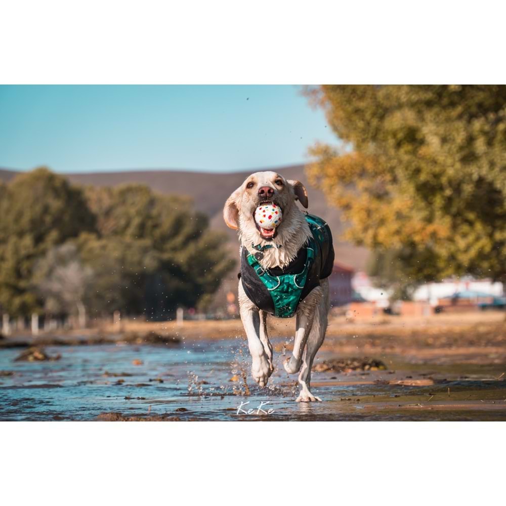 10643399 M-PETS BLOOM BALL OYUN TOPU PARÇALANMAZ MİX COLOR