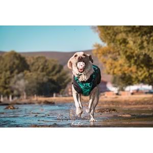 10643399 M-PETS BLOOM BALL OYUN TOPU PARÇALANMAZ MİX COLOR