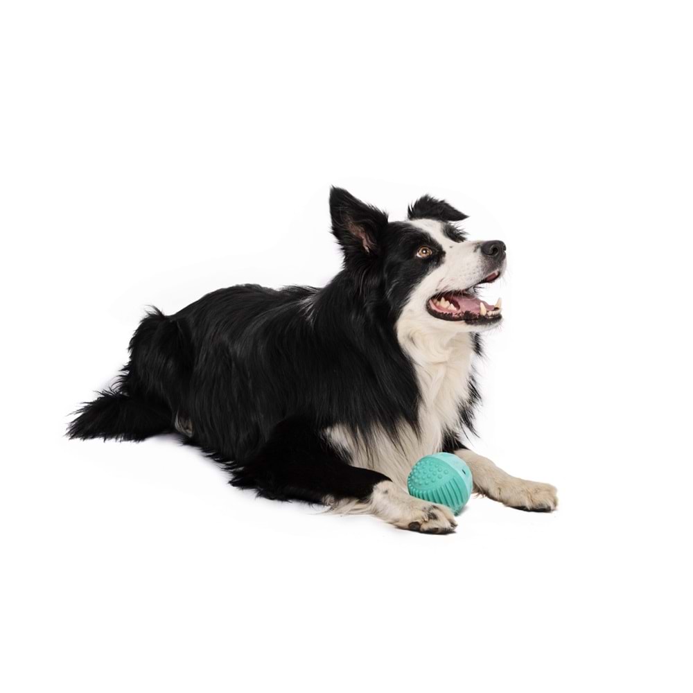 10645399 M-PETS VICE VERSA BALL ET AROMALI KÖPEK OYUNCAĞI