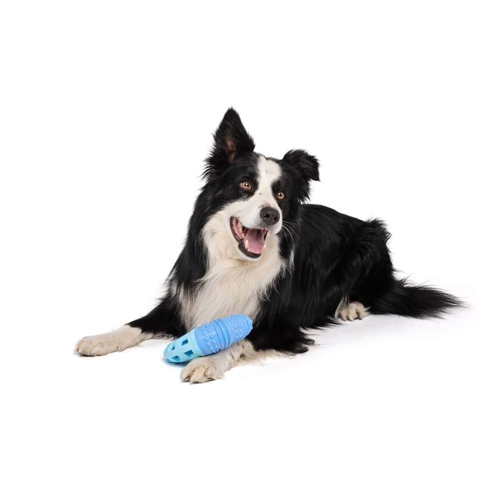 10645699 M-PETS VICE VERSA BOOMERANG TAVUK AROMALI KÖPEK OYUNCAĞI